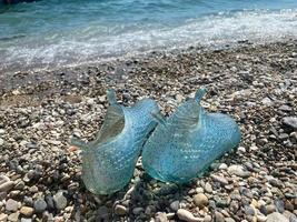 hoog hoek visie van slippers Bij strand foto