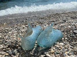 blauw rubber het baden slippers. strand schoenen Aan kiezels, in de buurt de zee foto