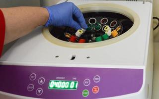 covid19. een arbeider in medisch handschoenen zet een monster in een laboratorium centrifugeren. kopiëren ruimte. concept van wetenschappelijk en medisch Onderzoek van de coronavirus vaccin foto