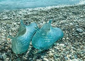 rubber blauw slippers staan Aan de stenen. vakantie Bij zee, reizen naar een heet en warm land. zwemmen schoenen, wandelen Aan de zeebedding met stenen foto