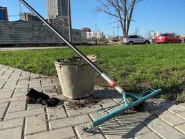 een emmer en een hark zijn bereid voor schoonmaak en tuinieren in de buurt de gazon in de werf van de huis. tuin gereedschap foto