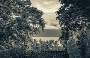 tropisch eiland ilha grande abraao strand tussen palmbomen brazilië. foto