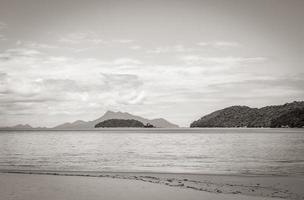 mangrove en pouso strand op tropisch eiland ilha grande brazilië. foto