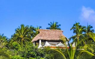hotels resorts gebouwen in paradijs tussen palm bomen puerto escondido. foto