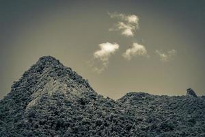 abraao berg pico do papagaio met wolken. ilha grande brazilië. foto