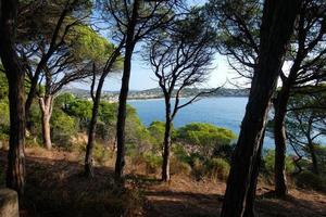 middellandse Zee kustlijn met rotsen in de Catalaans regio, Spanje foto