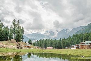 replicatie fee weiden naga parbat mooi landschap bergen visie foto