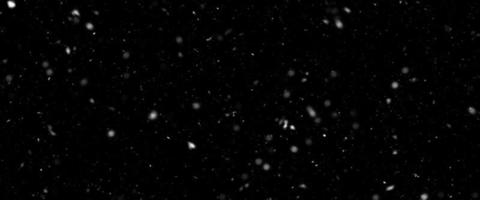 verschillend realistisch vallend sneeuw of sneeuwvlokken. vallend sneeuw geïsoleerd Aan zwart achtergrond. winter sneeuwval illustratie. bokeh lichten Aan zwart achtergrond, vliegend sneeuwvlokken in de lucht. sneeuw Bij nacht. foto
