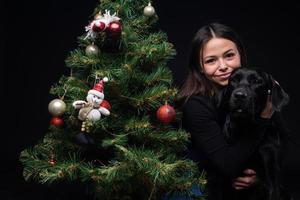 portret van een labrador retriever hond met haar baasje, in de buurt de nieuw jaar groen boom. foto