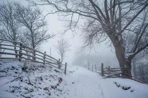 prachtig winterlandschap foto