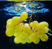 druiven in de water foto