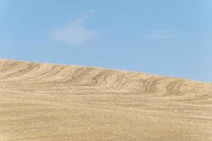 visie van droog land. klimaat Wijzigen. erge, ernstige droogte. globaal opwarming. milieu ramp. Nee water. droog landbouw velden. tekort van water. Nee gewassen. foto