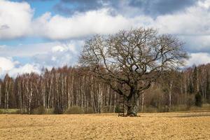 voorjaar landschappen met wolken foto