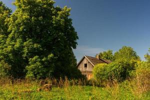 landschappen van de Lets platteland in voorjaar foto