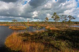 herfst dag Bij de moeras meer foto