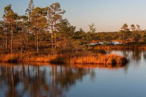 herfst dag Bij de moeras meer foto