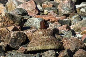 voorjaar landschappen Aan de eiland van hiiumaa foto