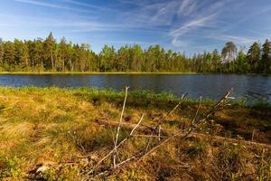 landschappen van de Lets platteland in voorjaar foto