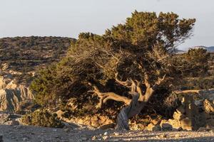 landschappen van micro cycladen, Griekenland foto