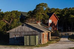 voorjaar landschappen Aan de eiland van hiiumaa foto