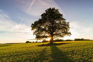 landschappen van de Lets platteland in voorjaar foto