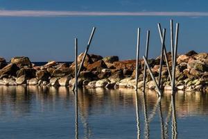 voorjaar landschappen Aan de eiland van hiiumaa foto