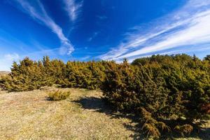 voorjaar keer bekeken van hiiumaa eiland foto