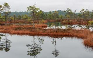 herfst dag Bij de moeras meer foto