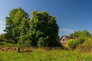 landschappen van de Lets platteland in voorjaar foto