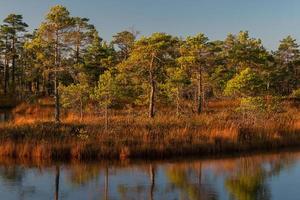 herfst dag Bij de moeras meer foto