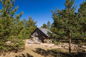 voorjaar keer bekeken van hiiumaa eiland foto