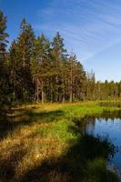 landschappen van de Lets platteland in voorjaar foto