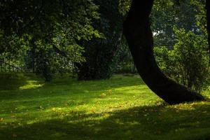 oud stad- van Tallinn in zomer foto