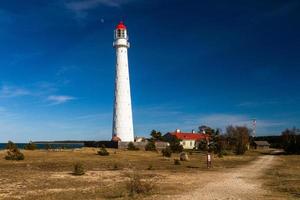 voorjaar landschappen Aan de eiland van hiiumaa foto