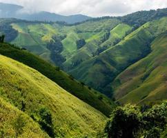 mooi berg visie van noorden Thailand in winter, reis weg reis vakantie, toerisme en reizen concept, vers en ontspannen type natuur. foto