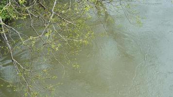 de rennen rivier- visie met de bomen Aan het in de platteland foto