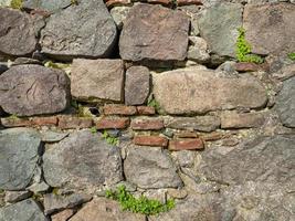 een fabriek Aan een steen muur. planten toenemen Aan een oud steen muur. oud metselwerk. stoffelijk overschot van oude architectuur. foto