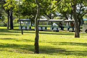 trein rijden trein naar tour de park, Mexico Latijns Amerika foto