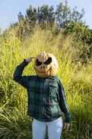 jong vrouw met pompoen hoofd na snijdend het uit en zetten een gezicht Aan het, halloween, foto