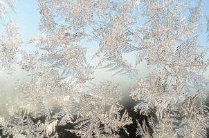 sneeuwvlokken vorst rijmen macro Aan venster glas deelvenster foto