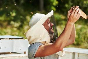 looks Bij de honing. imker werken met honingraat vol van bijen buitenshuis Bij zonnig dag foto