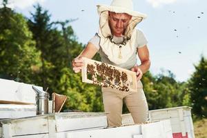 geconcentreerd Bij werk. imker werken met honingraat vol van bijen buitenshuis Bij zonnig dag foto