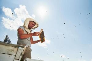 warm het weer. bijna Doorzichtig lucht. imker werken met honingraat vol van bijen buitenshuis Bij zonnig dag foto