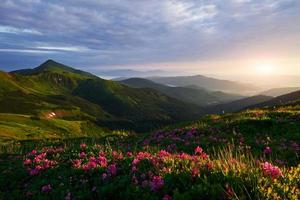 zon instelling Aan de horizon. majestueus Karpaten bergen. mooi landschap. adembenemend visie foto