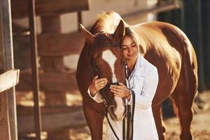 mooi zonlicht. vrouw dierenarts onderzoeken paard buitenshuis Bij de boerderij Bij dag foto