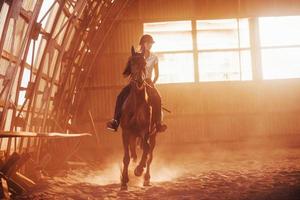 majestueus beeld van paard silhouet met rijder Aan zonsondergang achtergrond. de meisje jockey Aan de terug van een hengst ritten in een hangar Aan een boerderij foto
