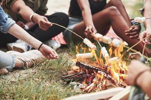 bijgesneden foto. groep van mensen hebben picknick Aan de strand. vrienden hebben pret Bij weekend tijd foto