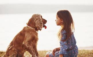 staren Bij elk ander. schattig weinig meisje hebben een wandelen met haar hond buitenshuis Bij zonnig dag foto