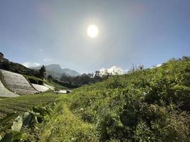 mooi panoramisch visie van de berg en groen velden, lief landschap voor achtergronden foto