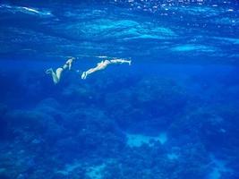 twee jong meisjes in zwart bikini zwemmen en snorkelen in Doorzichtig blauw zee water foto
